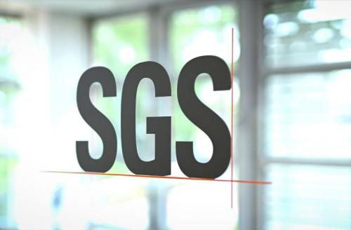 Попередні висновки аудиту SGS
