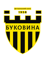 Буковина logo